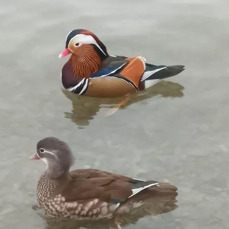 King-bed En-suite Pensjonat *