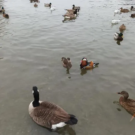 King-bed En-suite Windermere