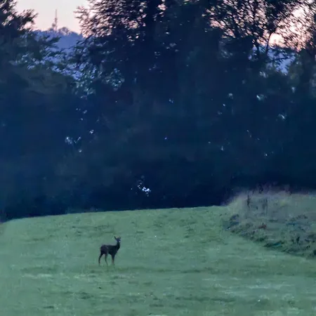 Pensjonat King-bed En-suite *