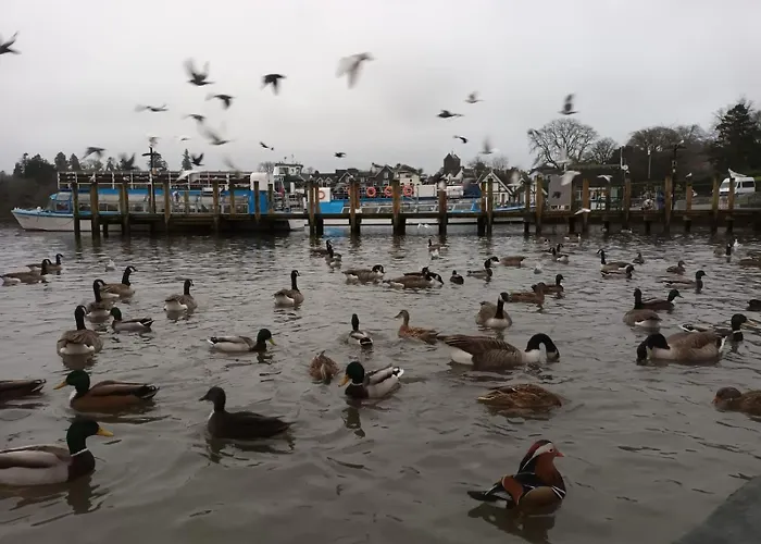 Guest house King-bed En-suite *