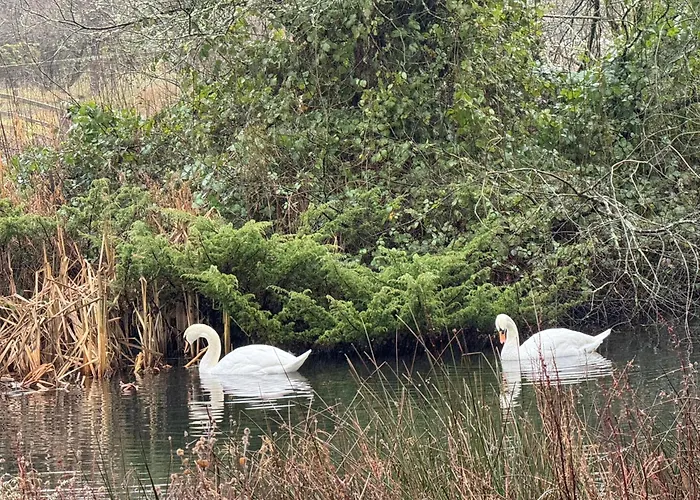 Guest house King-bed En-suite