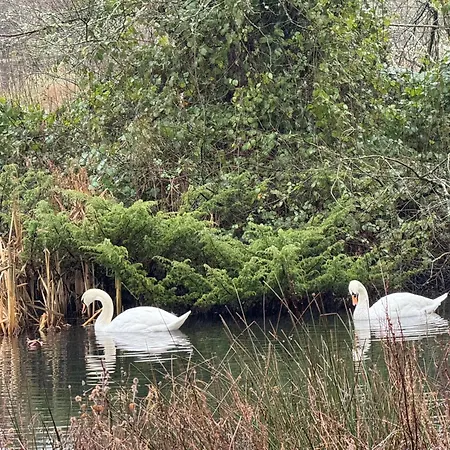 게스트하우스 King-bed En-suite