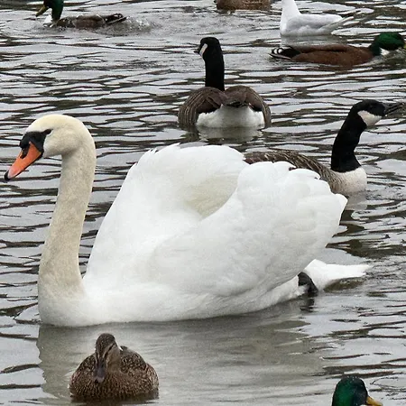 게스트하우스 King-bed En-suite 윈더미어