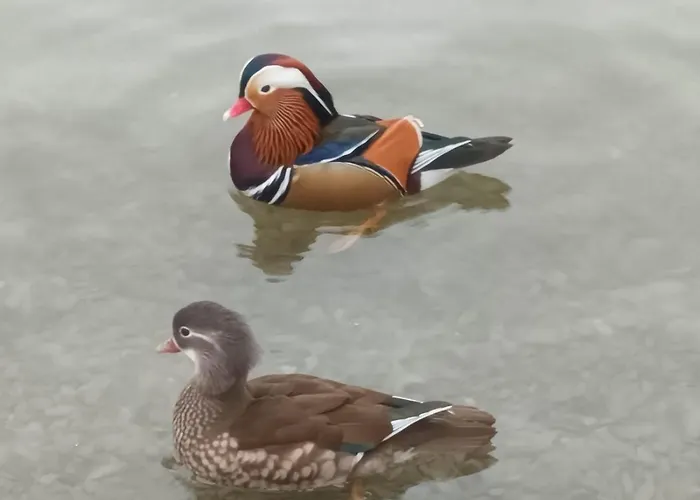 King-bed En-suite Guest house *