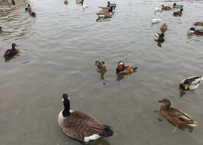 King-bed En-suite Windermere