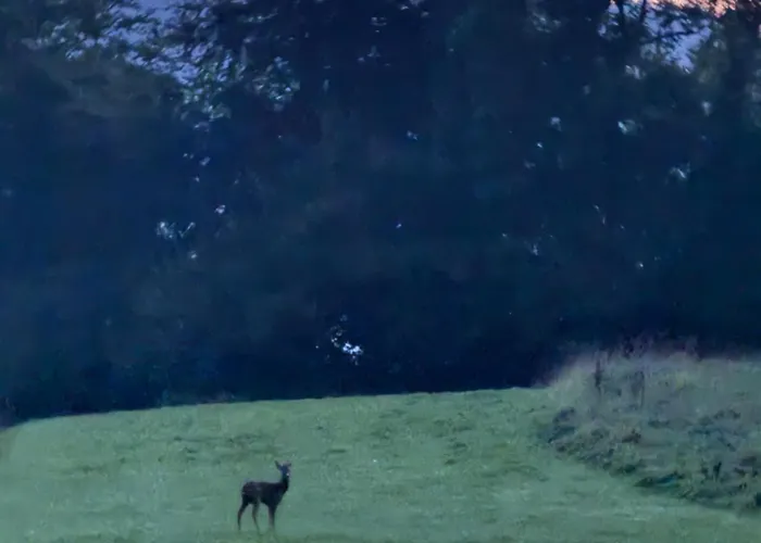 Guest house King-bed En-suite *